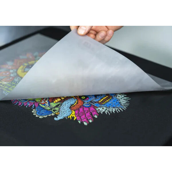 DTF Transfer 22xCUSTOM Thumbnail