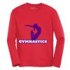 ATC™ PRO TEAM LONG SLEEVE YOUTH TEE Thumbnail